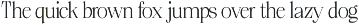 Ravelle - Family Serif Font preview