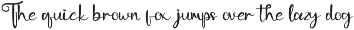 Boldique Script - Lovely Script preview
