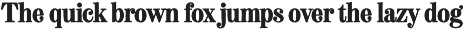 Fenir Elegant Serif Font preview
