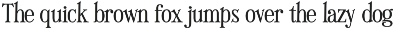 Nipra Retro Serif Font preview
