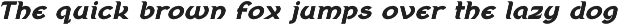 Tarin Sans preview