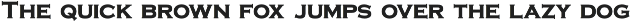 Sanir Retro Serif Font preview