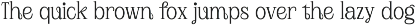 Plafisco | Inktrap Elegant Display preview