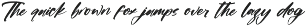 Actively Modern Brush Font preview