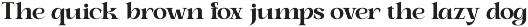 Mowgle preview