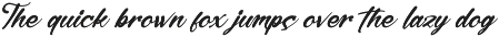 Hunter Shark Bold Calligraphy Font preview