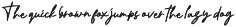 Zoitelia - Modern Signature Font preview