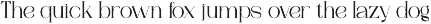 Gantic Font – Modern Serif Font preview