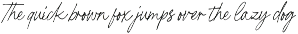Tourist Partner Signature Script preview