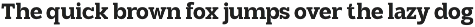 TBJ Goslap Slab Font Family preview