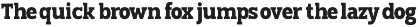 TBJ Goslap Slab Font Family preview