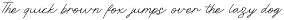 Oneliner - Ballpoint Script Fonts preview