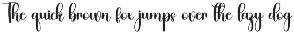 Jungle preview