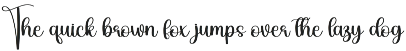 Overlay | Script Font preview