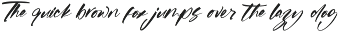 Whitela Akuatic - Bold Brush Font preview