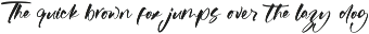 Whitela Akuatic - Bold Brush Font preview