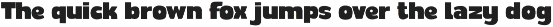 Brizy - Display Sans preview