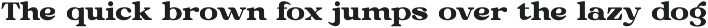 County Miles - Serif Font preview