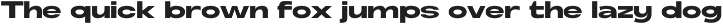 Fierce - Modern Sans Family preview
