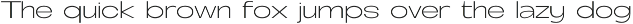 Fierce - Modern Sans Family preview