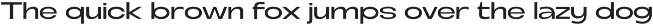 Fierce - Modern Sans Family preview