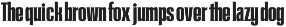 Roadhawk - Condensed Semi Serif preview