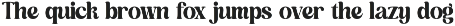 Dusty Brothe Groovy Serif Display preview