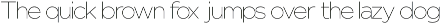 Nunito Flex Pro (54 Font) preview