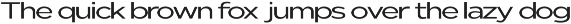 Nunito Flex Pro (54 Font) preview