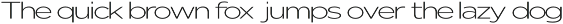 Nunito Flex Pro (54 Font) preview