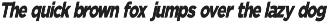 Nunito Flex Pro (54 Font) preview
