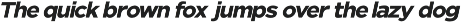 Nunito Flex Pro (54 Font) preview