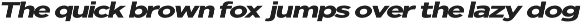 Nunito Flex Pro (54 Font) preview