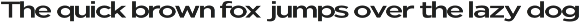 Nunito Flex Pro (54 Font) preview