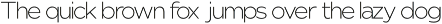 Nunito Flex Pro (54 Font) preview