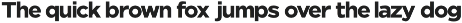 Nunito Flex Pro (54 Font) preview