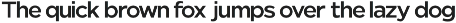 Nunito Flex Pro (54 Font) preview