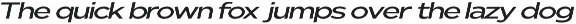 Nunito Flex Pro (54 Font) preview