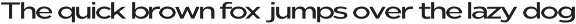 Nunito Flex Pro (54 Font) preview
