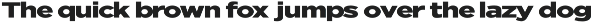 Nunito Flex Pro (54 Font) preview