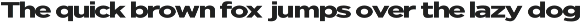 Nunito Flex Pro (54 Font) preview