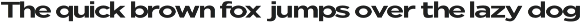 Nunito Flex Pro (54 Font) preview