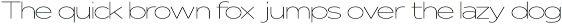 Nunito Flex Pro (54 Font) preview