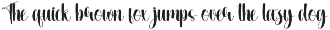 Excellent | Script Font preview
