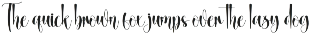 Sandwich | Script Font preview