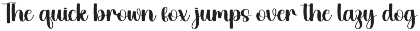 Vacation | Script Font preview