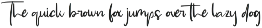 Tranquil Wave - Brush Handwritten preview