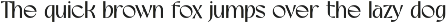 Selire - Sans Serif Luxury Font preview