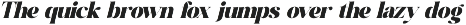 Melody Cottage Modern Bold Serif preview