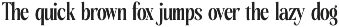 Rachon Bold Tall Display Serif preview